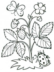 Plants coloring page 4 - Free printable