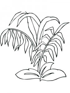 Plants coloring page 8 - Free printable