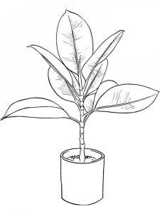 Plants coloring page 9 - Free printable