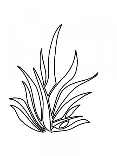 Plants coloring pages