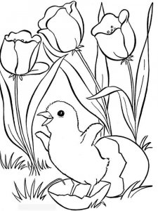 Spring coloring page 15 - Free printable