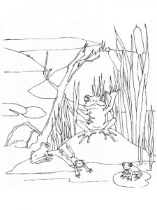 Swamp coloring page 3 - Free printable