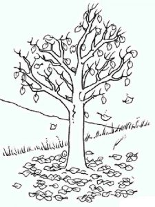 Tree coloring page 10 - Free printable