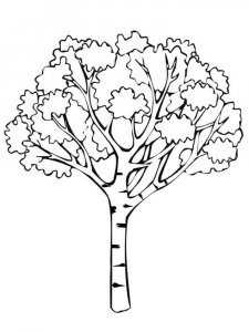 Tree coloring page 11 - Free printable