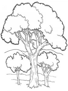 Tree coloring page 13 - Free printable