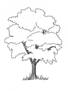 Tree coloring page 18 - Free printable