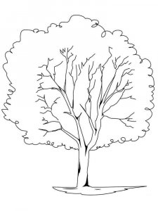 Tree coloring page 19 - Free printable