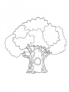 Tree coloring page 9 - Free printable