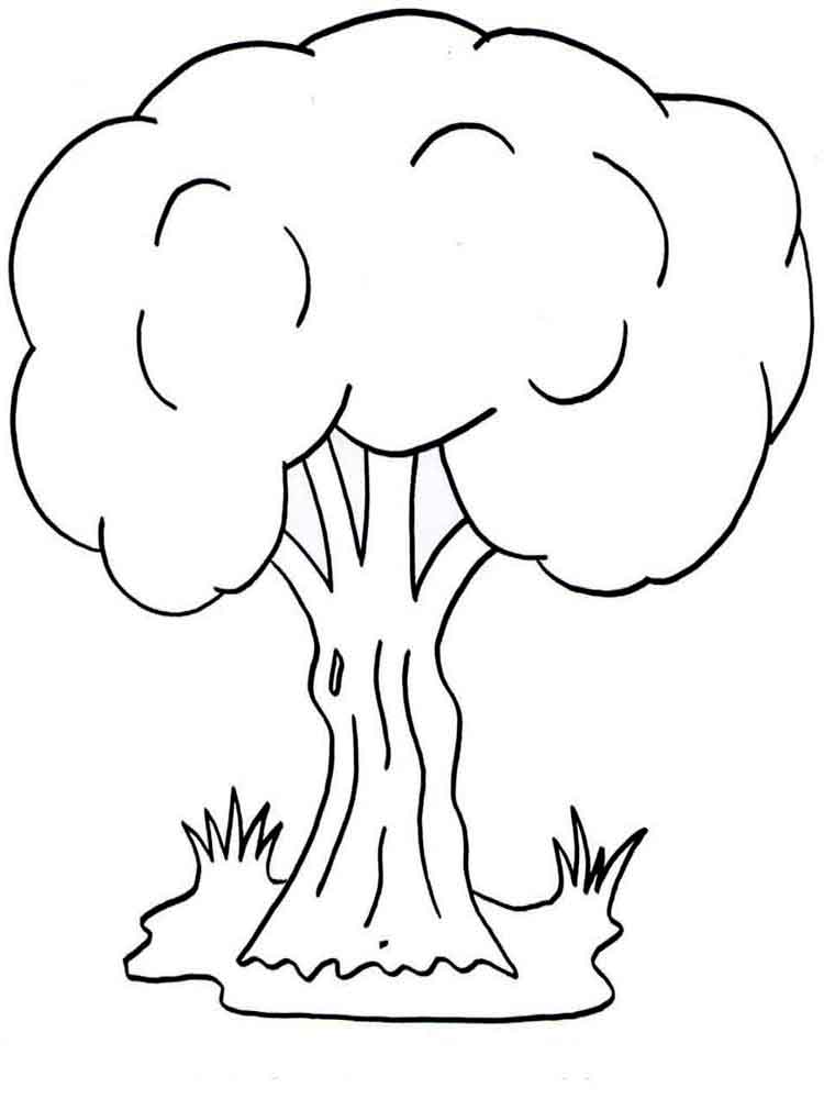 Trees coloring pages. Download and print trees coloring pages