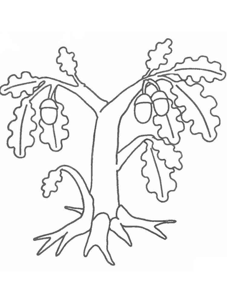 trees-coloring-pages