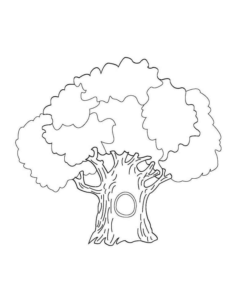 Coloring Page Of A Tree