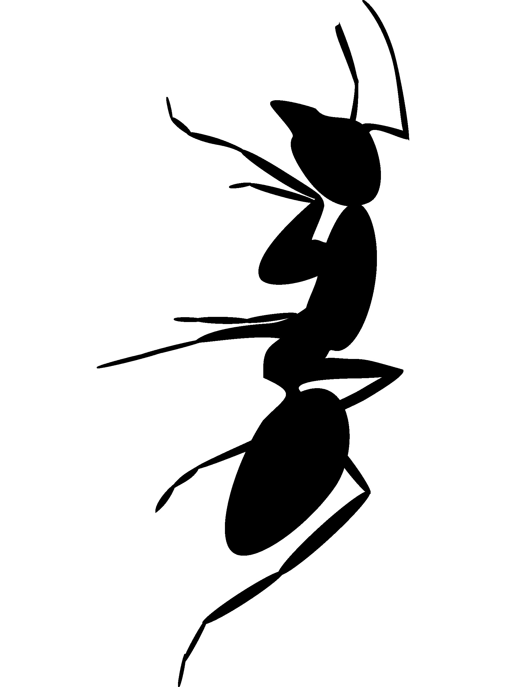 Ant Stencils Free Printable