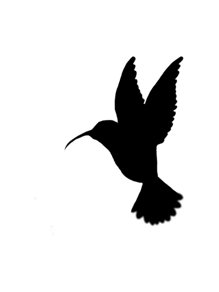 Bird Stencils