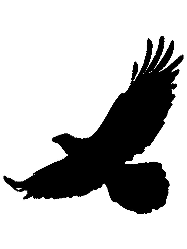 free bird stencils printable to download bird stencils