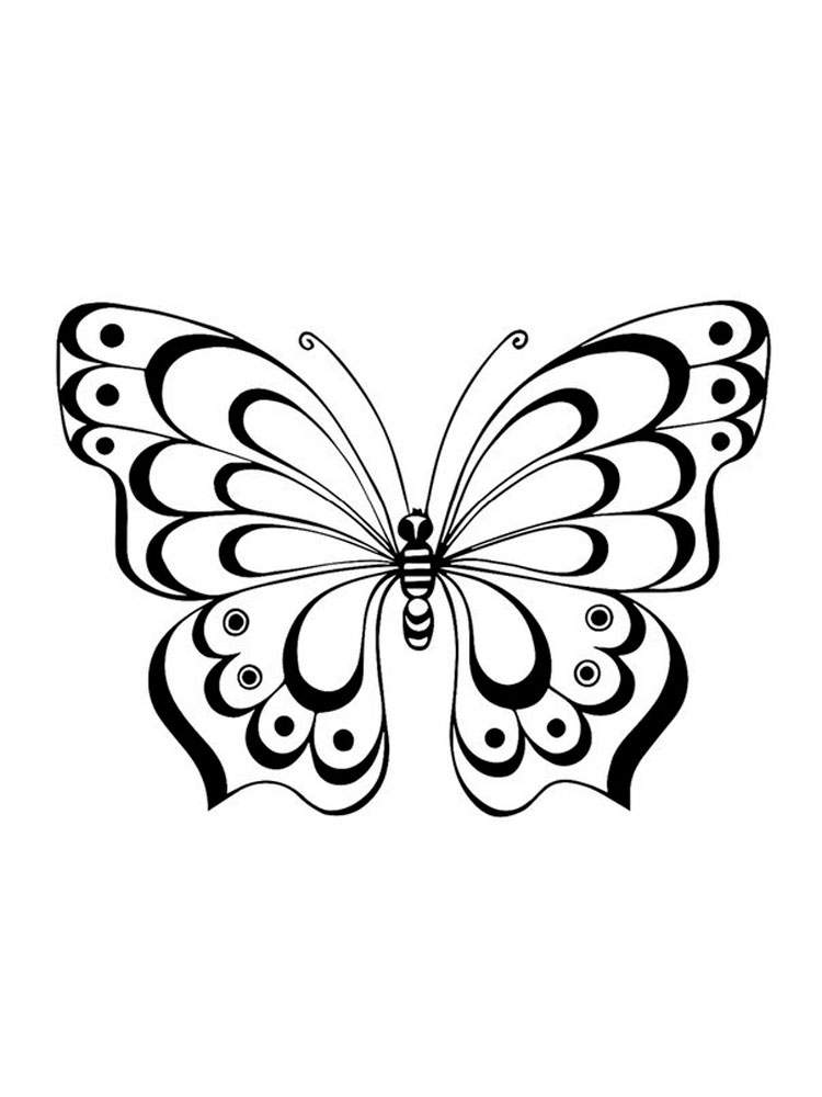 butterfly-stencils