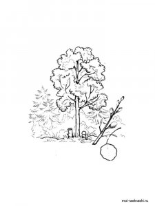 Aspen Tree coloring page 3 - Free printable
