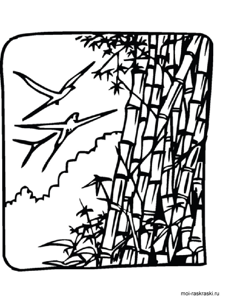 Download Bamboo coloring pages for kids. Free Printable Bamboo Tree coloring pages