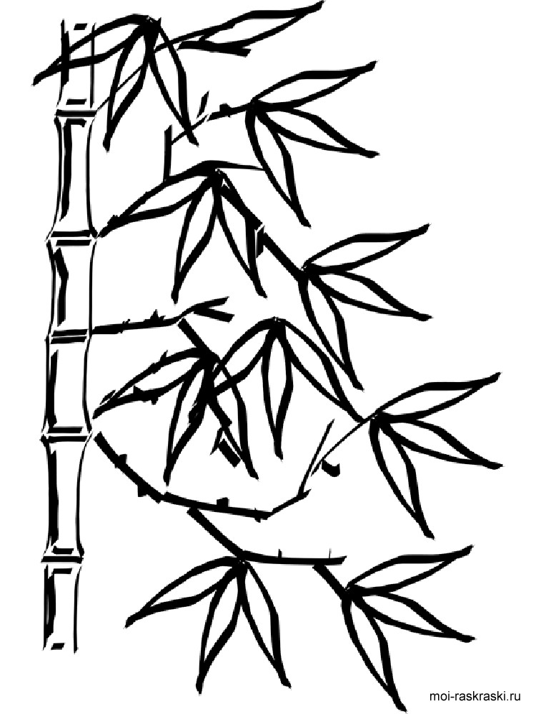 Bamboo coloring pages for kids. Free Printable Bamboo Tree coloring pages
