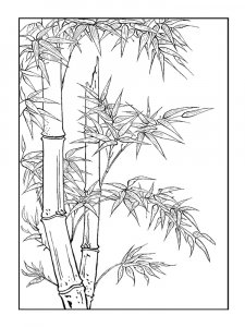 Bamboo coloring page 11 - Free printable