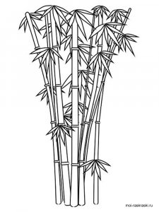 Bamboo coloring page 7 - Free printable