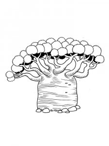Baobab coloring page 10 - Free printable