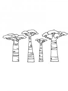 Baobab coloring page 12 - Free printable