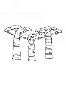 Baobab coloring page 15 - Free printable