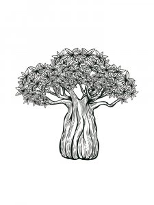 Baobab coloring page 7 - Free printable
