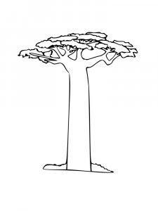 Baobab coloring page 9 - Free printable