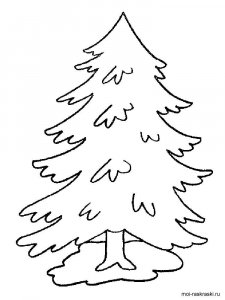 Fir Tree coloring page 10 - Free printable