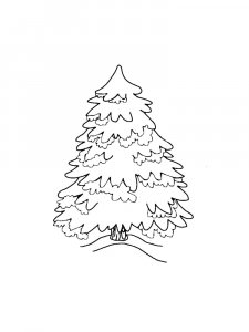Fir Tree coloring page 14 - Free printable
