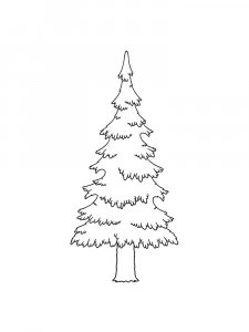 Fir Tree coloring page 16 - Free printable