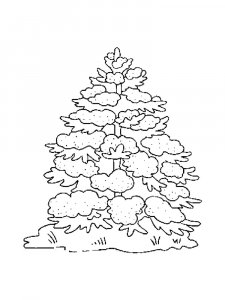 Fir Tree coloring page 17 - Free printable
