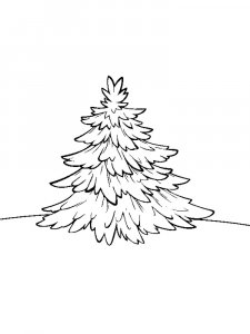 Fir Tree coloring page 20 - Free printable