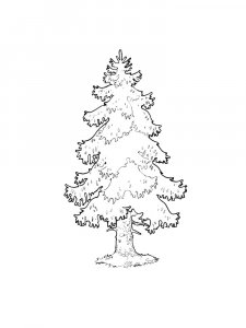 Fir Tree coloring page 21 - Free printable