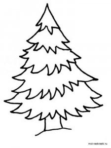 Fir Tree coloring page 3 - Free printable