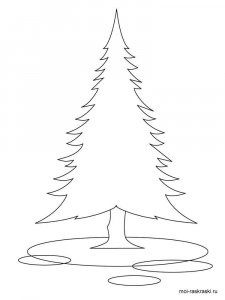 Fir Tree coloring page 5 - Free printable