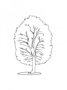 Linden Tree coloring page 8 - Free printable