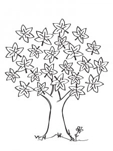 Maple Tree coloring page 14 - Free printable