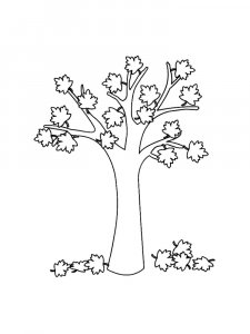 Maple Tree coloring page 15 - Free printable