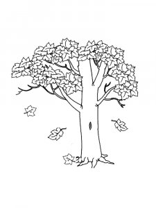 Maple Tree coloring page 16 - Free printable