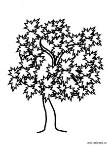 Maple Tree coloring page 8 - Free printable