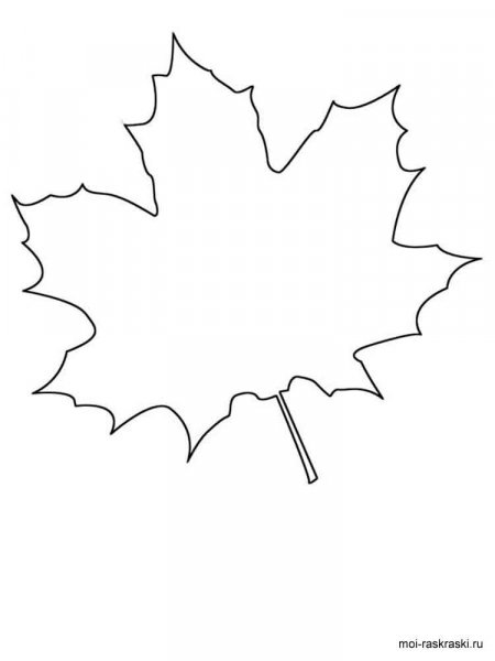 Maple coloring pages