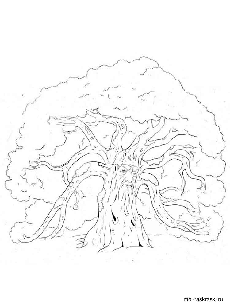 Oak Tree Coloring Page Visualmechanical Com