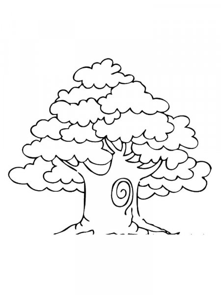 Oak coloring pages