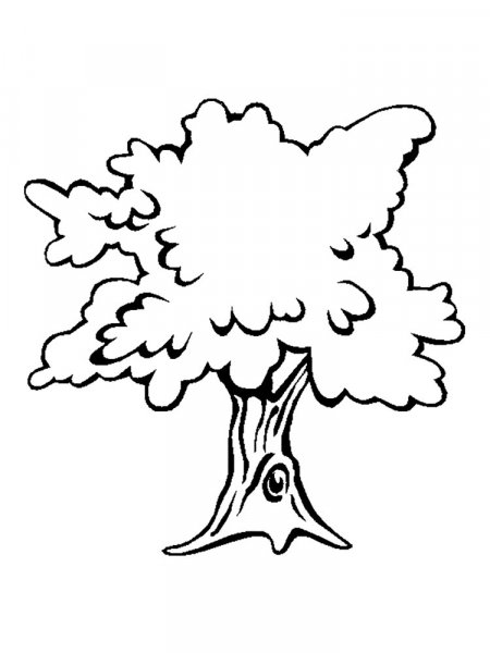 Oak coloring pages