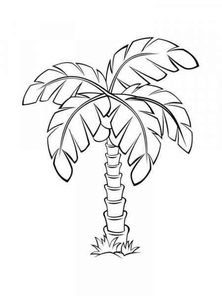 Palm coloring pages