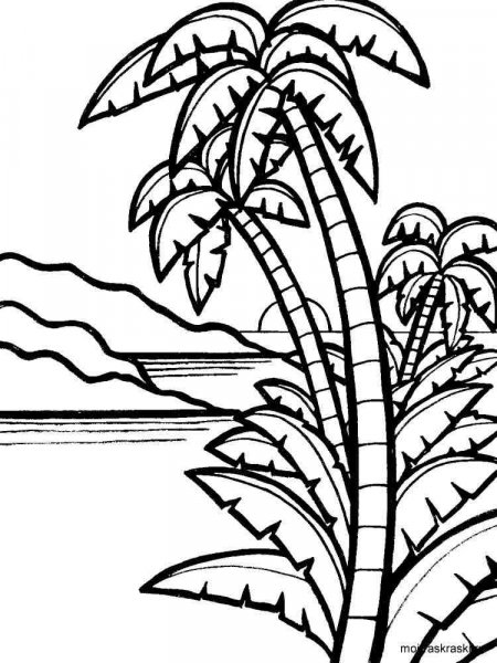 Palm coloring pages