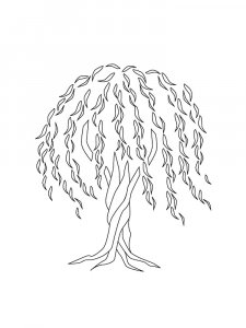 Willow Tree coloring page 12 - Free printable