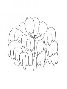 Willow Tree coloring page 15 - Free printable